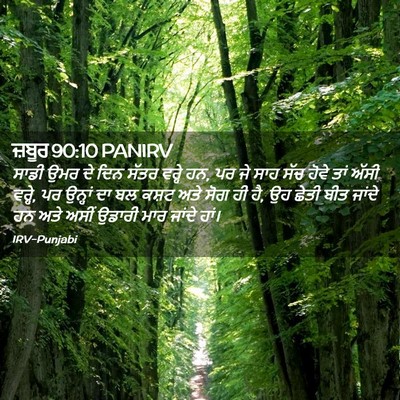 Picture 02 - ਜ਼ਬੂਰ 90:10 PANIRV - ਸਾਡੀ ਉਮਰ ਦੇ ਦਿਨ - Bible Verse Picture