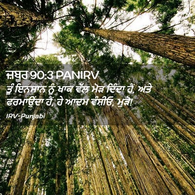 Picture 02 - ਜ਼ਬੂਰ 90:3 PANIRV - ਤੂੰ ਇਨਸਾਨ ਨੂੰ ਖਾਕ - Bible Verse Picture