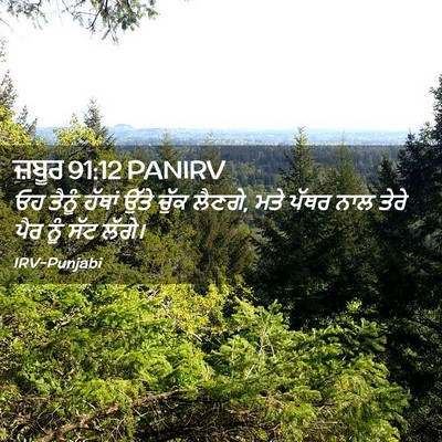 Picture 02 - ਜ਼ਬੂਰ 91:12 PANIRV - ਓਹ ਤੈਨੂੰ ਹੱਥਾਂ - Bible Verse Picture