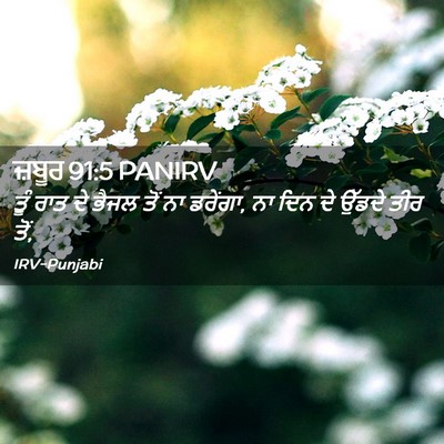 Picture 02 - ਜ਼ਬੂਰ 91:5 PANIRV - ਤੂੰ ਰਾਤ ਦੇ ਭੈਜਲ ਤੋਂ - Bible Verse Picture