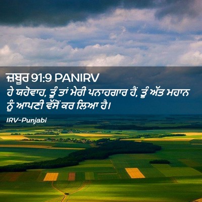 Picture 02 - ਜ਼ਬੂਰ 91:9 PANIRV - ਹੇ ਯਹੋਵਾਹ, ਤੂੰ ਤਾਂ - Bible Verse Picture