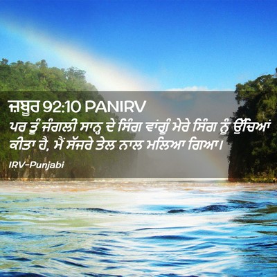 Picture 02 - ਜ਼ਬੂਰ 92:10 PANIRV - ਪਰ ਤੂੰ ਜੰਗਲੀ ਸਾਨ੍ਹ - Bible Verse Picture