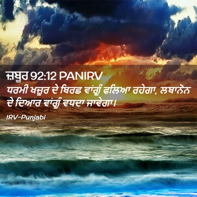 Picture 02 - ਜ਼ਬੂਰ 92:12 PANIRV - ਧਰਮੀ ਖਜ਼ੂਰ ਦੇ ਬਿਰਛ - Bible Verse Picture
