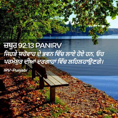 Picture 02 - ਜ਼ਬੂਰ 92:13 PANIRV - ਜਿਹੜੇ ਯਹੋਵਾਹ ਦੇ - Bible Verse Picture