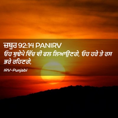 Picture 02 - ਜ਼ਬੂਰ 92:14 PANIRV - ਓਹ ਬੁਢੇਪੇ ਵਿੱਚ ਵੀ - Bible Verse Picture