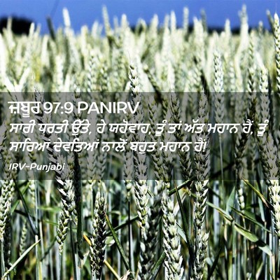 Picture 02 - ਜ਼ਬੂਰ 97:9 PANIRV - ਸਾਰੀ ਧਰਤੀ ਉੱਤੇ, ਹੇ - Bible Verse Picture