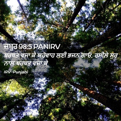 Picture 02 - ਜ਼ਬੂਰ 98:5 PANIRV - ਬਰਬਤ ਵਜਾ ਕੇ ਯਹੋਵਾਹ - Bible Verse Picture