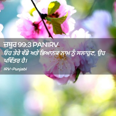 Picture 02 - ਜ਼ਬੂਰ 99:3 PANIRV - ਓਹ ਤੇਰੇ ਵੱਡੇ ਅਤੇ - Bible Verse Picture