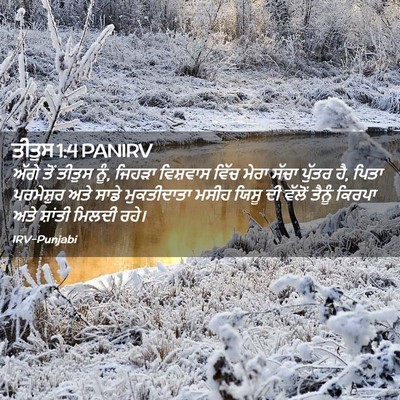 Picture 02 - ਤੀਤੁਸ 1:4 PANIRV - ਅੱਗੇ ਤੋਂ ਤੀਤੁਸ ਨੂੰ, - Bible Verse Picture