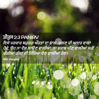 Picture 02 - ਤੀਤੁਸ 2:3 PANIRV - ਇਸੇ ਪਰਕਾਰ ਬਜ਼ੁਰਗ - Bible Verse Picture