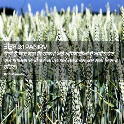 Picture 02 - ਤੀਤੁਸ 3:1 PANIRV - ਉਨ੍ਹਾਂ ਨੂੰ ਯਾਦ ਕਰਾ - Bible Verse Picture