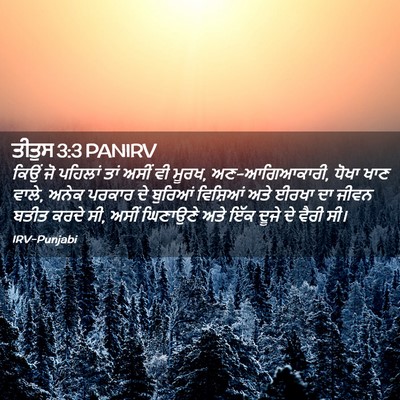 Picture 02 - ਤੀਤੁਸ 3:3 PANIRV - ਕਿਉਂ ਜੋ ਪਹਿਲਾਂ ਤਾਂ - Bible Verse Picture