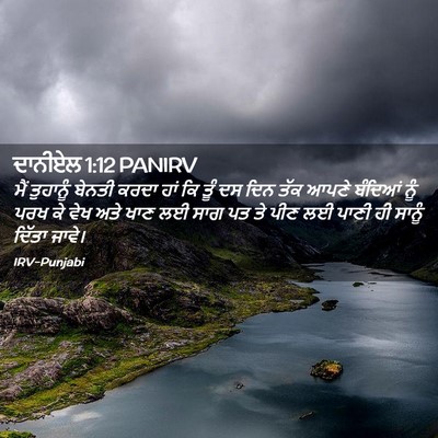 Picture 02 - ਦਾਨੀਏਲ 1:12 PANIRV - ਮੈਂ ਤੁਹਾਨੂੰ ਬੇਨਤੀ - Bible Verse Picture