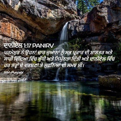 Picture 02 - ਦਾਨੀਏਲ 1:17 PANIRV - ਪਰਮੇਸ਼ੁਰ ਨੇ ਉਹਨਾਂ - Bible Verse Picture