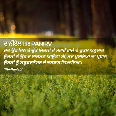Picture 02 - ਦਾਨੀਏਲ 1:18 PANIRV - ਜਦ ਉਹ ਦਿਨ ਹੋ ਚੁੱਕੇ - Bible Verse Picture