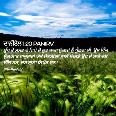 Picture 02 - ਦਾਨੀਏਲ 1:20 PANIRV - ਬੁੱਧ ਤੇ ਸਮਝ ਦੇ ਵਿਖੇ - Bible Verse Picture