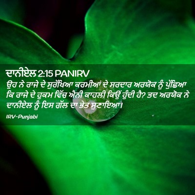 Picture 02 - ਦਾਨੀਏਲ 2:15 PANIRV - ਉਹ ਨੇ ਰਾਜੇ ਦੇ - Bible Verse Picture