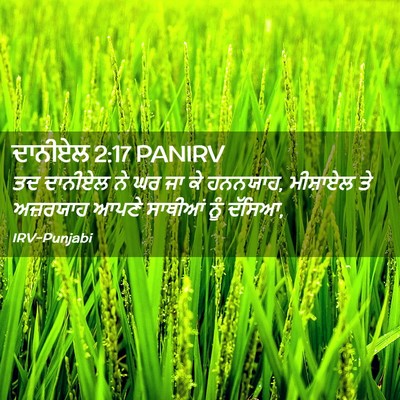 Picture 02 - ਦਾਨੀਏਲ 2:17 PANIRV - ਤਦ ਦਾਨੀਏਲ ਨੇ ਘਰ ਜਾ - Bible Verse Picture