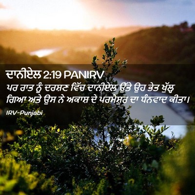 Picture 02 - ਦਾਨੀਏਲ 2:19 PANIRV - ਪਰ ਰਾਤ ਨੂੰ ਦਰਸ਼ਣ - Bible Verse Picture