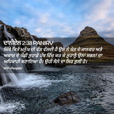 Picture 02 - ਦਾਨੀਏਲ 2:38 PANIRV - ਜਿੱਥੇ ਕਿਤੇ ਮਨੁੱਖ - Bible Verse Picture