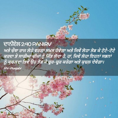 Picture 02 - ਦਾਨੀਏਲ 2:40 PANIRV - ਅਤੇ ਚੌਥਾ ਰਾਜ ਲੋਹੇ - Bible Verse Picture