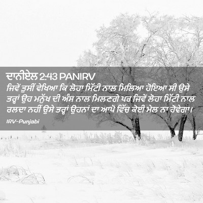 Picture 02 - ਦਾਨੀਏਲ 2:43 PANIRV - ਜਿਵੇਂ ਤੁਸੀਂ ਵੇਖਿਆ - Bible Verse Picture