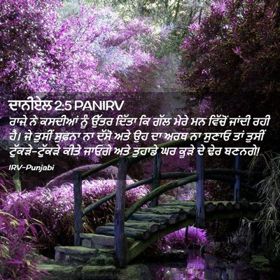 Picture 02 - ਦਾਨੀਏਲ 2:5 PANIRV - ਰਾਜੇ ਨੇ ਕਸਦੀਆਂ ਨੂੰ - Bible Verse Picture