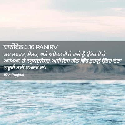 Picture 02 - ਦਾਨੀਏਲ 3:16 PANIRV - ਤਦ ਸ਼ਦਰਕ, ਮੇਸ਼ਕ, - Bible Verse Picture