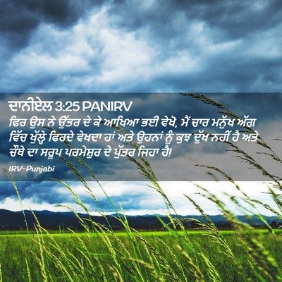 Picture 02 - ਦਾਨੀਏਲ 3:25 PANIRV - ਫਿਰ ਉਸ ਨੇ ਉੱਤਰ ਦੇ - Bible Verse Picture