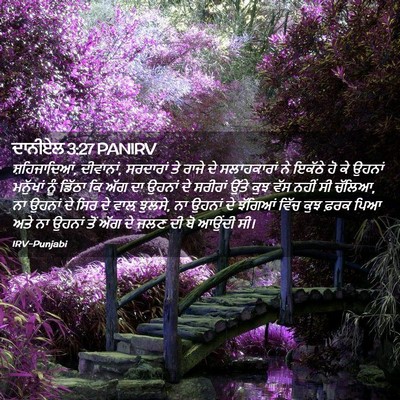 Picture 02 - ਦਾਨੀਏਲ 3:27 PANIRV - ਸ਼ਹਿਜਾਦਿਆਂ, - Bible Verse Picture