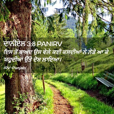 Picture 02 - ਦਾਨੀਏਲ 3:8 PANIRV - ਇਸ ਤੋਂ ਬਾਅਦ ਉਸ ਵੇਲੇ - Bible Verse Picture
