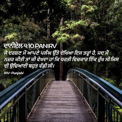 Picture 02 - ਦਾਨੀਏਲ 4:10 PANIRV - ਜੋ ਦਰਸ਼ਣ ਮੈਂ ਆਪਣੇ - Bible Verse Picture