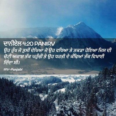 Picture 02 - ਦਾਨੀਏਲ 4:20 PANIRV - ਉਹ ਰੁੱਖ ਜੋ ਤੁਸੀਂ - Bible Verse Picture
