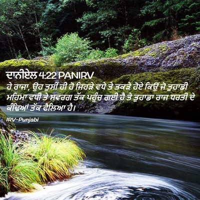 Picture 02 - ਦਾਨੀਏਲ 4:22 PANIRV - ਹੇ ਰਾਜਾ, ਉਹ ਤੁਸੀਂ - Bible Verse Picture
