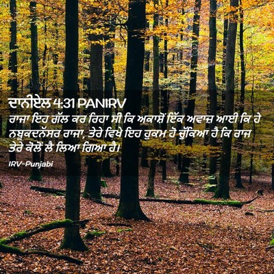 Picture 02 - ਦਾਨੀਏਲ 4:31 PANIRV - ਰਾਜਾ ਇਹ ਗੱਲ ਕਰ ਰਿਹਾ - Bible Verse Picture