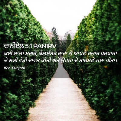 Picture 02 - ਦਾਨੀਏਲ 5:1 PANIRV - ਕਈ ਸਾਲਾਂ ਮਗਰੋਂ, - Bible Verse Picture