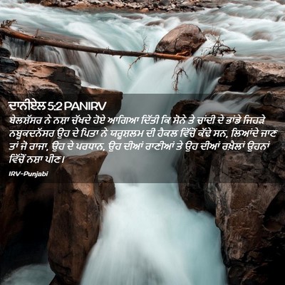Picture 02 - ਦਾਨੀਏਲ 5:2 PANIRV - ਬੇਲਸ਼ੱਸਰ ਨੇ ਨਸ਼ਾ - Bible Verse Picture
