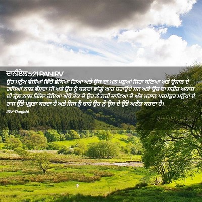 Picture 02 - ਦਾਨੀਏਲ 5:21 PANIRV - ਉਹ ਮਨੁੱਖ ਵੰਸ਼ੀਆਂ - Bible Verse Picture