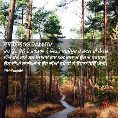 Picture 02 - ਦਾਨੀਏਲ 5:3 PANIRV - ਤਦ ਉਹ ਸੋਨੇ ਦੇ - Bible Verse Picture
