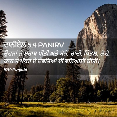 Picture 02 - ਦਾਨੀਏਲ 5:4 PANIRV - ਉਹਨਾਂ ਨੇ ਸ਼ਰਾਬ - Bible Verse Picture