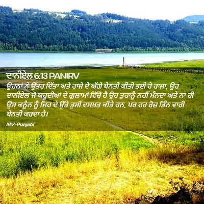 Picture 02 - ਦਾਨੀਏਲ 6:13 PANIRV - ਉਹਨਾਂ ਨੇ ਉੱਤਰ - Bible Verse Picture