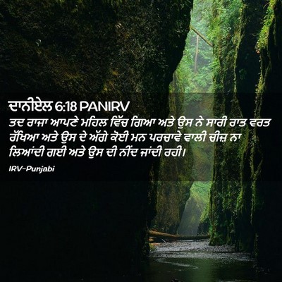 Picture 02 - ਦਾਨੀਏਲ 6:18 PANIRV - ਤਦ ਰਾਜਾ ਆਪਣੇ ਮਹਿਲ - Bible Verse Picture