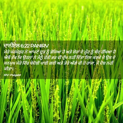 Picture 02 - ਦਾਨੀਏਲ 6:22 PANIRV - ਮੇਰੇ ਪਰਮੇਸ਼ੁਰ ਨੇ - Bible Verse Picture