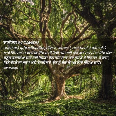 Picture 02 - ਦਾਨੀਏਲ 6:7 PANIRV - ਰਾਜ ਦੇ ਸਾਰੇ - Bible Verse Picture