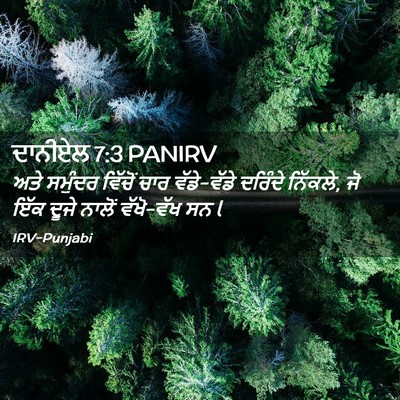 Picture 02 - ਦਾਨੀਏਲ 7:3 PANIRV - ਅਤੇ ਸਮੁੰਦਰ ਵਿੱਚੋਂ - Bible Verse Picture