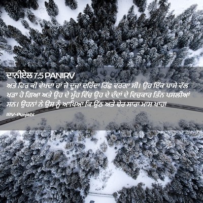 Picture 02 - ਦਾਨੀਏਲ 7:5 PANIRV - ਅਤੇ ਫਿਰ ਕੀ ਵੇਖਦਾ - Bible Verse Picture
