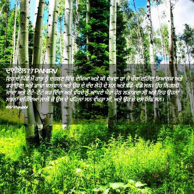 Picture 02 - ਦਾਨੀਏਲ 7:7 PANIRV - ਇਹ ਦੇ ਪਿੱਛੋਂ ਮੈਂ - Bible Verse Picture