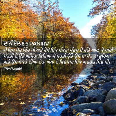 Picture 02 - ਦਾਨੀਏਲ 8:5 PANIRV - ਮੈਂ ਇਸ ਸੋਚ ਵਿੱਚ ਸੀ - Bible Verse Picture