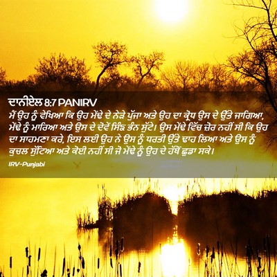 Picture 02 - ਦਾਨੀਏਲ 8:7 PANIRV - ਮੈਂ ਉਹ ਨੂੰ ਵੇਖਿਆ ਕਿ - Bible Verse Picture