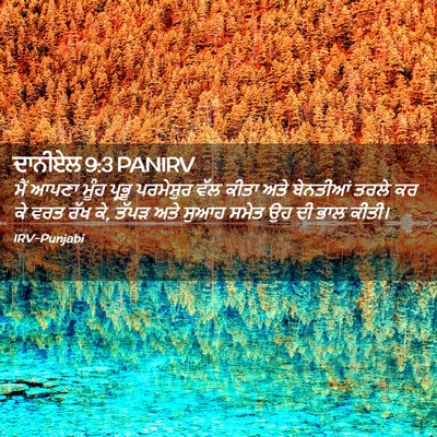 Picture 02 - ਦਾਨੀਏਲ 9:3 PANIRV - ਮੈਂ ਆਪਣਾ ਮੂੰਹ - Bible Verse Picture